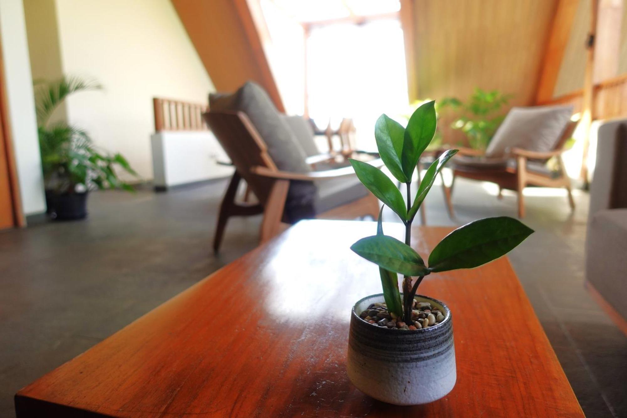 The Vinaya Boutique Hotel Ubud Eksteriør billede